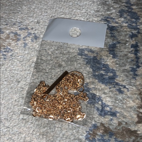 BOGO SALE *NWT* Eternity bar lariat necklace - Picture 4 of 4